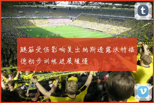 腿筋受伤影响复出纳斯透露沃特福德初步训练进展缓慢