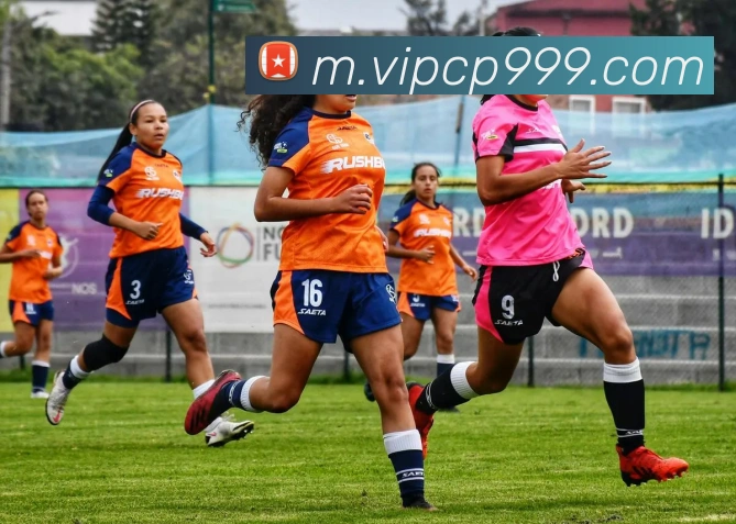 华体会注册发展历程